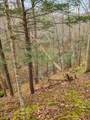 3763 Potomac River Rd - Photo 8