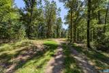 12 Langdon Woods Dr - Photo 61
