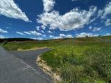 TBD Turkey Knob Rd - Photo 4
