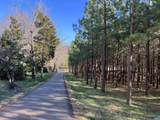 3123 Scottsville Rd - Photo 2