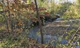 294 & 262 Freshwater Cove Ln - Photo 71