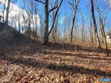 462 Deer Springs Ln - Photo 10