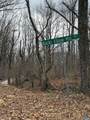 0 Bucks Elbow Mountain Rd - Photo 3