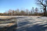 TBA Slate River Mill Rd - Photo 10