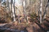 TBA Slate River Mill Rd - Photo 11