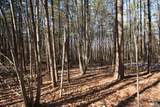 TBA Slate River Mill Rd - Photo 21