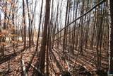 TBA Slate River Mill Rd - Photo 24