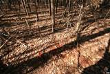 TBA Slate River Mill Rd - Photo 26