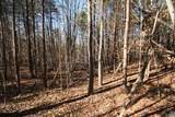 TBA Slate River Mill Rd - Photo 27