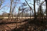 TBA Slate River Mill Rd - Photo 28