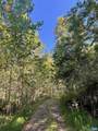 TBD Stony Point Pass - Photo 3