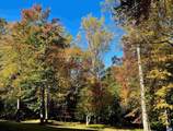 2482 Schelford Farm Rd - Photo 39