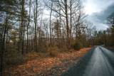 Lot 47 Fetterbush Ln - Photo 4