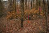 Lot 47 Fetterbush Ln - Photo 6
