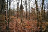 Lot 47 Fetterbush Ln - Photo 7