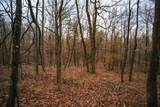 Lot 47 Fetterbush Ln - Photo 8