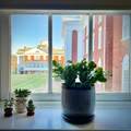101 Village Dr - Photo 17