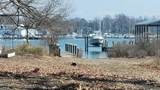  Monroe Bay Cir - Photo 1
