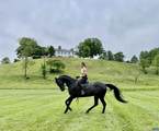 1859 Rivanna Farm - Photo 41