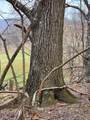 TBD Jack Mountain Rd - Photo 3