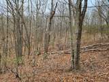 TBD Jack Mountain Rd - Photo 4