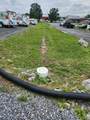 1207 Liberty St - Photo 13