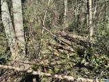 00 Indian Trace Trl - Photo 10