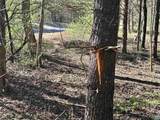 00 Indian Trace Trl - Photo 13