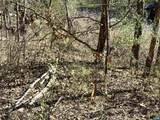 00 Indian Trace Trl - Photo 15