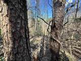 00 Indian Trace Trl - Photo 6