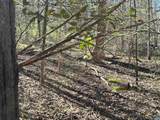00 Indian Trace Trl - Photo 8