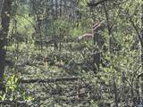 00 Indian Trace Trl - Photo 9