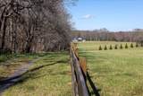 TBD Tadpole Ln - Photo 22