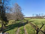 TBD Tadpole Ln - Photo 23