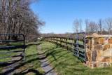 TBD Tadpole Ln - Photo 24