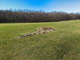 TBD Tadpole Ln - Photo 9