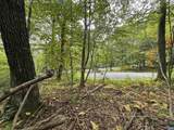 12 Dripping Rock Ln - Photo 6