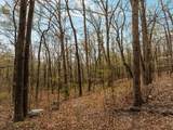 Lot 21 Mockingbird Ln - Photo 19
