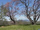 Lot 17R Mimosa Ln - Photo 11