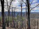 163 acres Hopkins Gap Rd - Photo 27