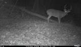 163 acres Hopkins Gap Rd - Photo 44