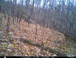 163 acres Hopkins Gap Rd - Photo 46