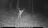163 acres Hopkins Gap Rd - Photo 49
