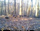 163 acres Hopkins Gap Rd - Photo 50