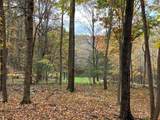 163 acres Hopkins Gap Rd - Photo 53