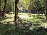 163 acres Hopkins Gap Rd - Photo 55