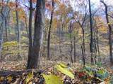 163 acres Hopkins Gap Rd - Photo 60