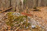 163 acres Hopkins Gap Rd - Photo 64