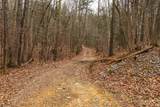 163 acres Hopkins Gap Rd - Photo 65
