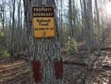 163 acres Hopkins Gap Rd - Photo 74